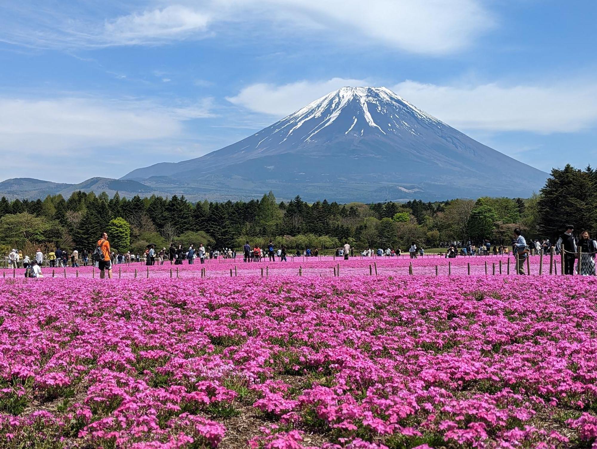 Gate Yamanashi Tsuruヴィラ エクステリア 写真
