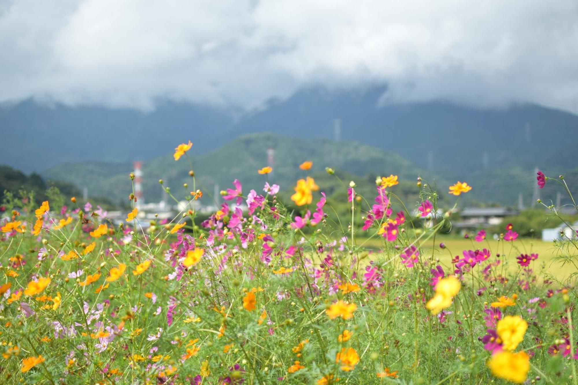 Gate Yamanashi Tsuruヴィラ エクステリア 写真