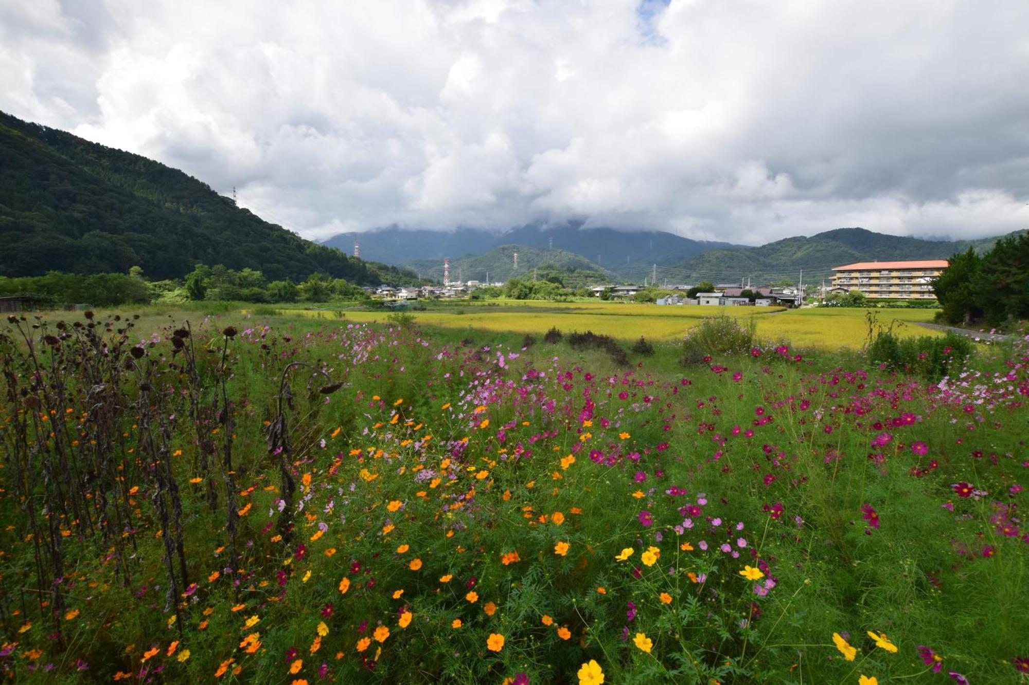 Gate Yamanashi Tsuruヴィラ エクステリア 写真